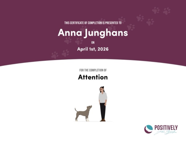 Attention certificate — Positively Academy